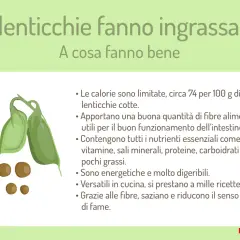 Le lenticchie fanno ingrassare? No, sono ricche di fibre, nutrienti e saziano. Ottime per la salute!