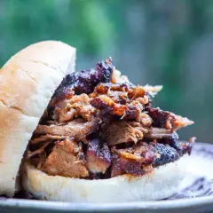 Panino con pulled pork succulento, perfetto per scoprire nuovi pulled pork abbinamenti.