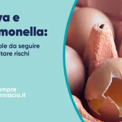 Uova e salmonella: 10 regole per evitare rischi. Un uovo rotto in un cartone, con altri uova sullo sfondo.