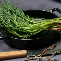 Mazzo di agretti freschi con radici, pronti per essere cotti in padella. Un coltello è appoggiato accanto.