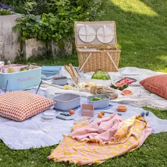 Picnic con tanti cibi con la m: melone, macedonia, mandarini, mirtilli e molto altro.