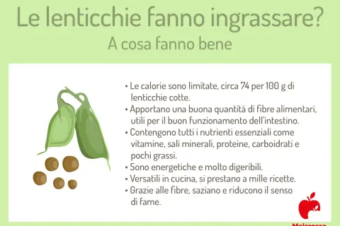 Le lenticchie fanno ingrassare? No, sono ricche di fibre, nutrienti e saziano. Ottime per la salute!