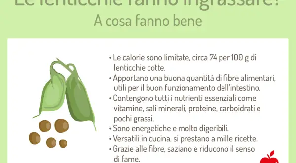 Le lenticchie fanno ingrassare? No, sono ricche di fibre, nutrienti e saziano. Ottime per la salute!