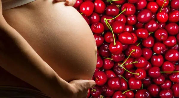 Pancia di donna incinta accarezzata, circondata da un mare di ciliegie rosse, simbolo di dolce attesa e ciliegie in gravidanza.