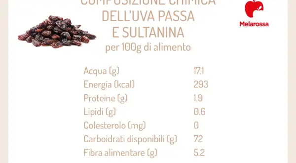 Uva passa e sultanina: scopri i benefici e la composizione chimica per 100g. Ricca di carboidrati, ottima fonte di energia.