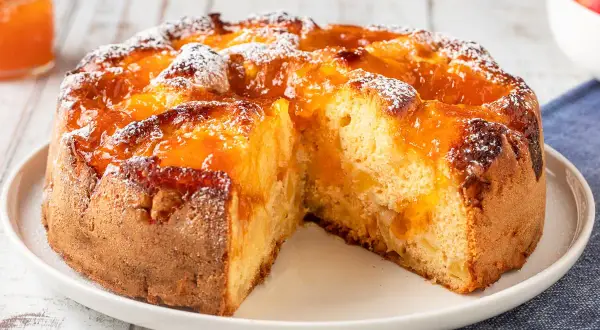 Torta soffice con pezzi di albicocca e una lucida marmellata di albicocche, spolverata di zucchero a velo.