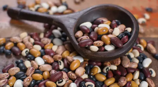 Un cucchiaio di legno trabocca di fagioli secchi misti, pronti per la cottura. Un mix colorato di varietà per un piatto saporito.