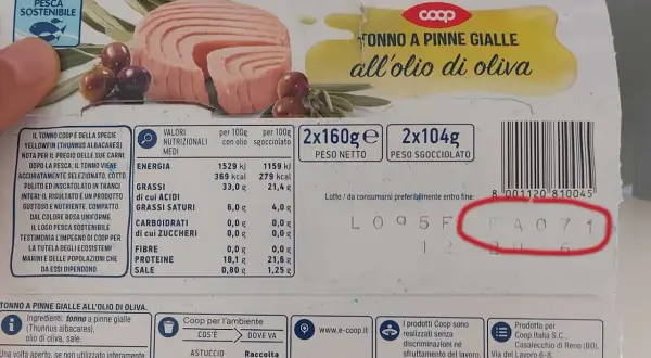 Tonno al naturale Coop: valori nutrizionali per 100g, con olio e sgocciolato. Ottimo per un pasto leggero e nutriente.