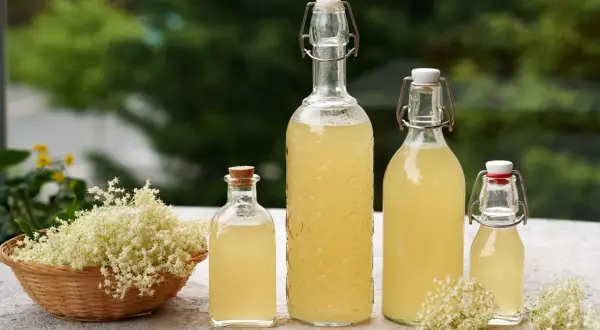 Fiori di sambuco in un cesto e bottiglie di sciroppo fatto in casa. Freschezza estiva da gustare.
