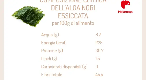 Foglio di alga nori essiccata, con tabella nutrizionale che evidenzia le proprietà: alta proteina, fibra e pochi carboidrati.