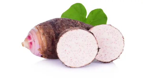 Un tubero comune nella cucina asiatica, con la sua buccia scura e la polpa bianca maculata di rosa, pronto per essere trasformato in deliziose pietanze.