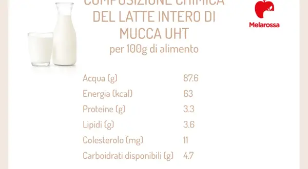 Latte intero: scopri i valori nutrizionali per 100g. Acqua, energia, proteine, lipidi, colesterolo e carboidrati.