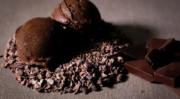 Due palline di cremoso gelato al cioccolato su un letto di granella di cacao, con pezzi di cioccolato fondente a lato.