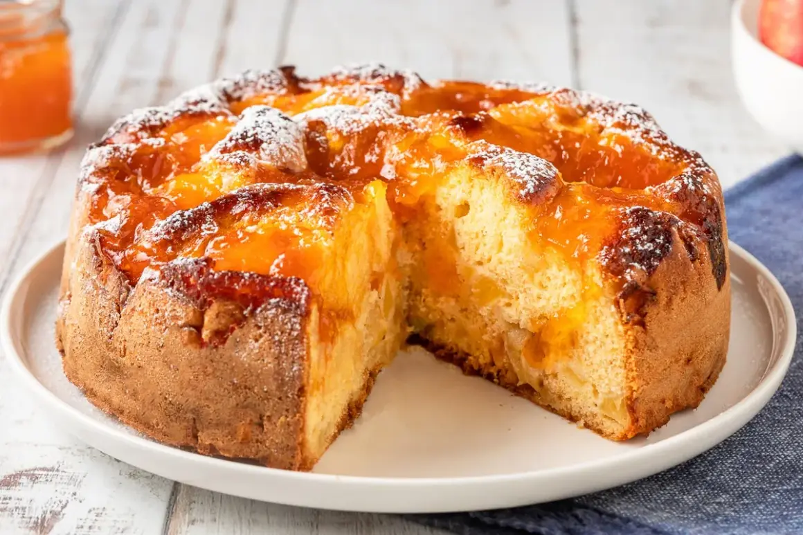 Torta soffice con pezzi di albicocca e una lucida marmellata di albicocche, spolverata di zucchero a velo.