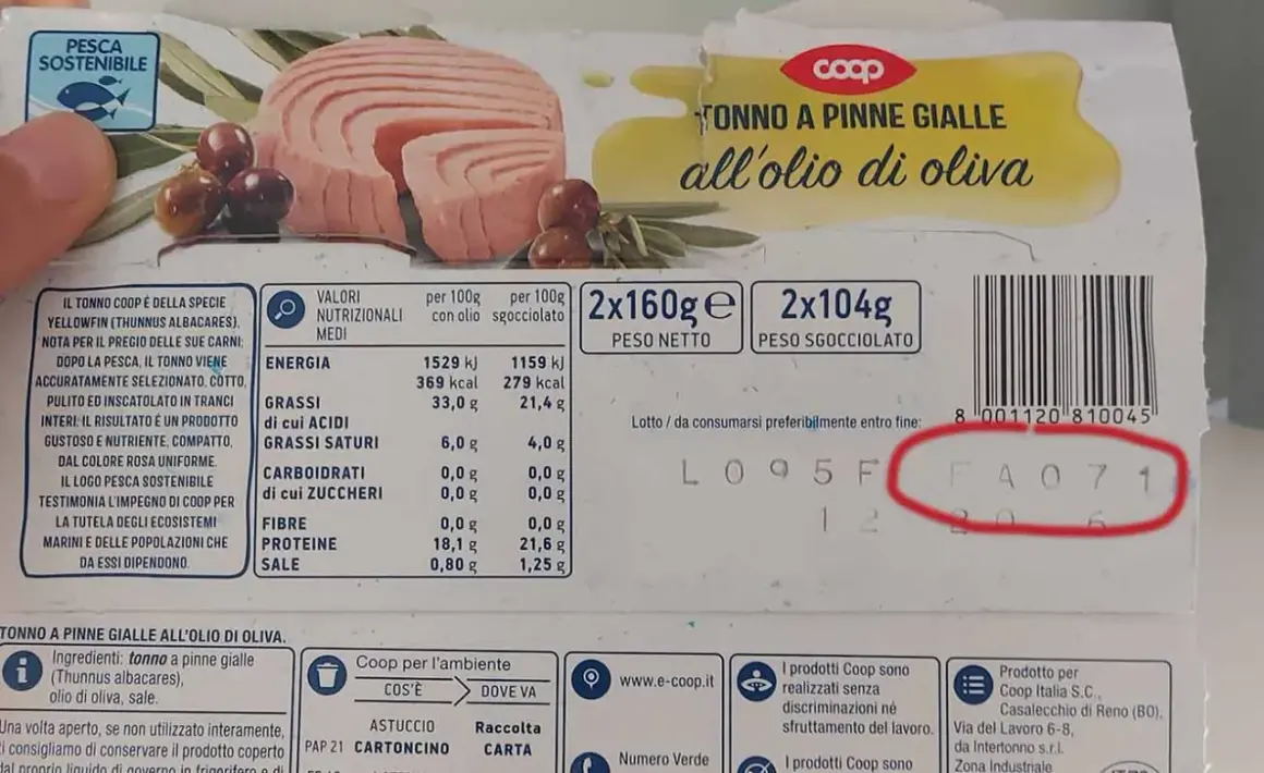 Tonno al naturale Coop: valori nutrizionali per 100g, con olio e sgocciolato. Ottimo per un pasto leggero e nutriente.