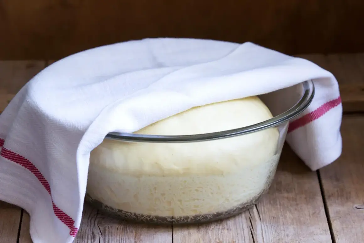 Impasto lievitato in ciotola, coperto da un canovaccio. Forse è stato usato bicarbonato al posto del lievito per questa lievitazione.