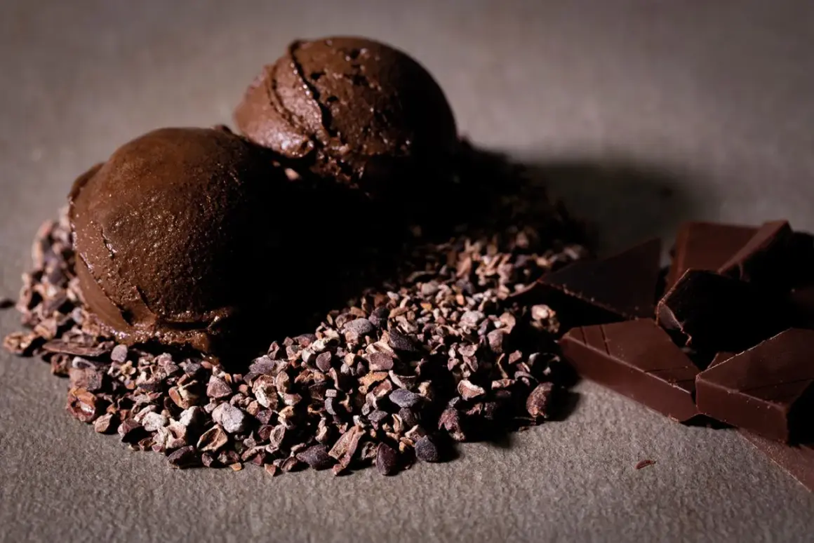 Due palline di cremoso gelato al cioccolato su un letto di granella di cacao, con pezzi di cioccolato fondente a lato.
