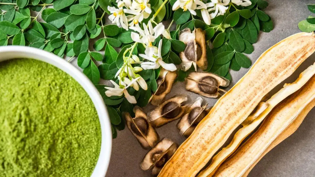 Moringa, a cosa serve davvero e come usarla in cucina