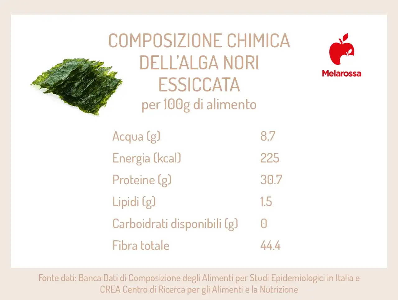 Nori: Usi, benefici e perché non è solo per il sushi