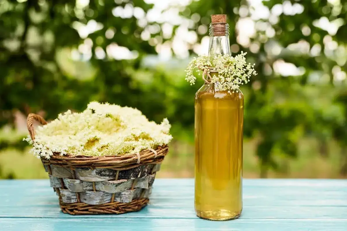 Cesto pieno di profumati fiori di sambuco accanto a una bottiglia di sciroppo dorato.