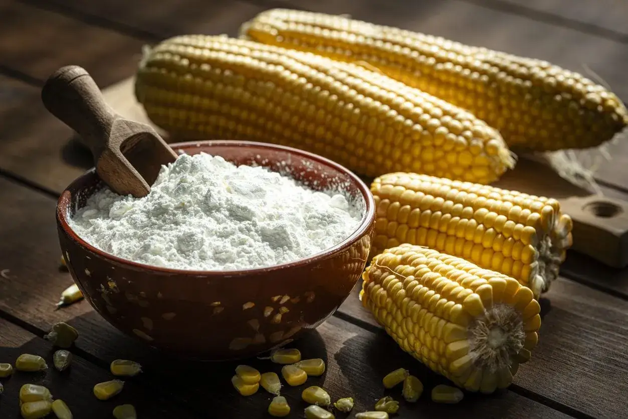 Ciotola di amido di mais bianco, con chicchi sparsi e pannocchie sullo sfondo. Maizena e amido di mais sono la stessa cosa, un ingrediente versatile.