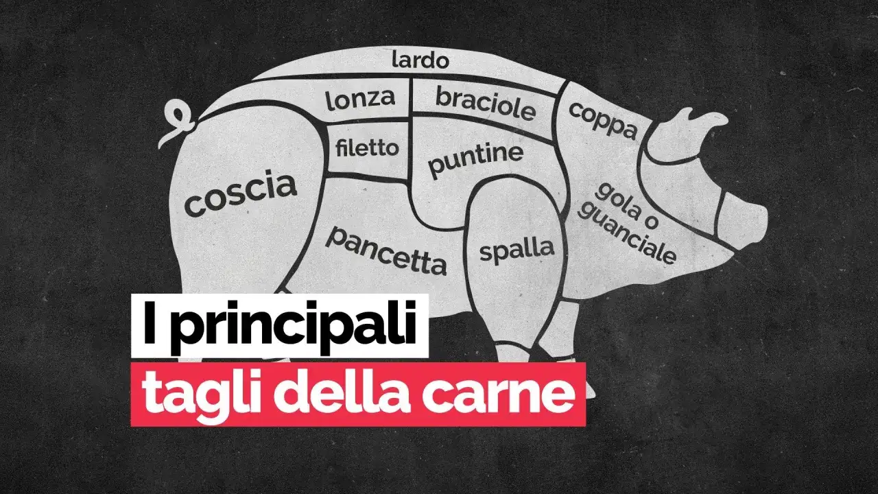 Schema dei tagli del maiale, che mostra le diverse parti della carne bianca o rossa, come coscia, lonza e spalla.