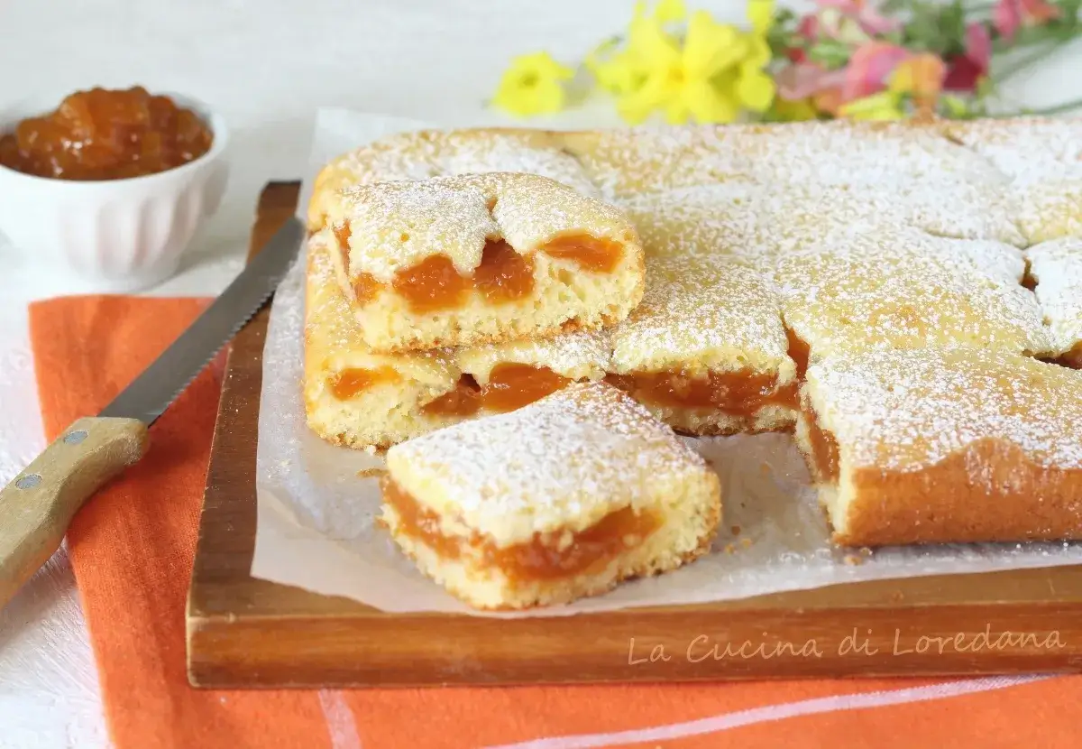 Fetta di torta soffice con ripieno di marmellata di albicocche, spolverata di zucchero a velo. Accanto, una ciotolina con altra marmellata.
