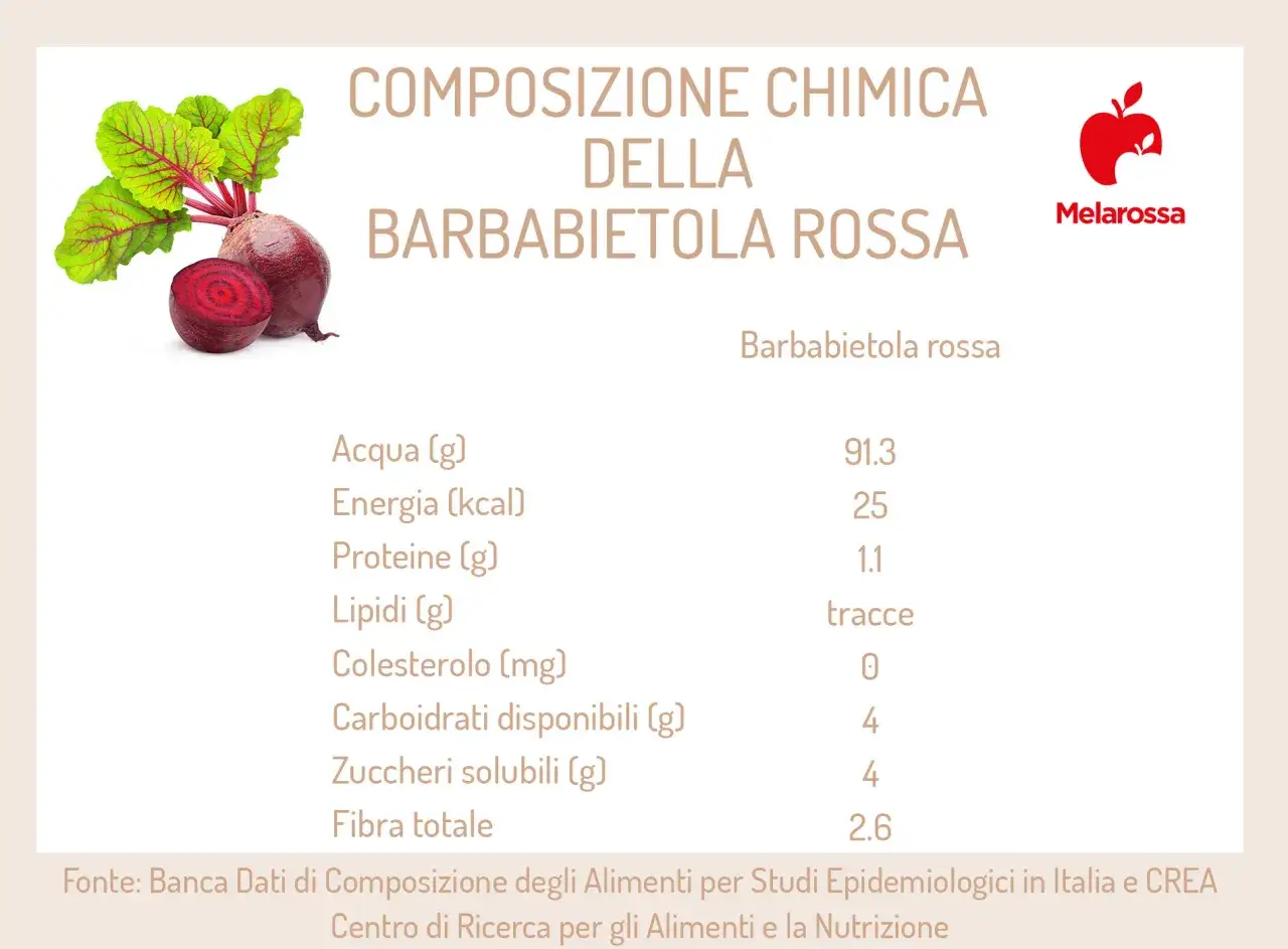 Composizione chimica della barbabietola rossa: acqua, energia, proteine, lipidi, carboidrati, zuccheri e fibra. Scopri le propriet&agrave;!