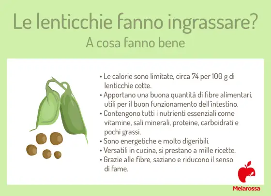 Lenticchie e calorie - Fanno ingrassare o aiutano la dieta?