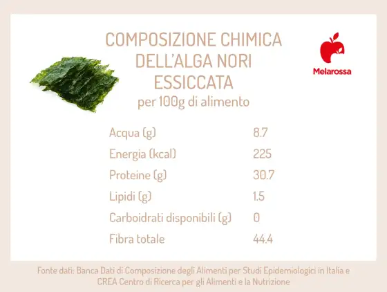 Nori: Usi, benefici e perché non è solo per il sushi