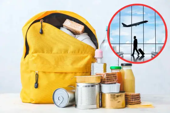 Cibo in aereo - Cosa portare nel bagaglio a mano e in stiva?