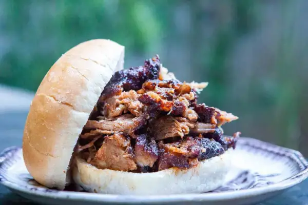 Panino con pulled pork succulento, perfetto per scoprire nuovi pulled pork abbinamenti.